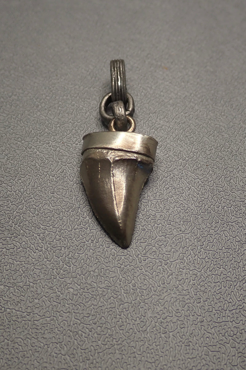 SHARK TOOTH PENDANT