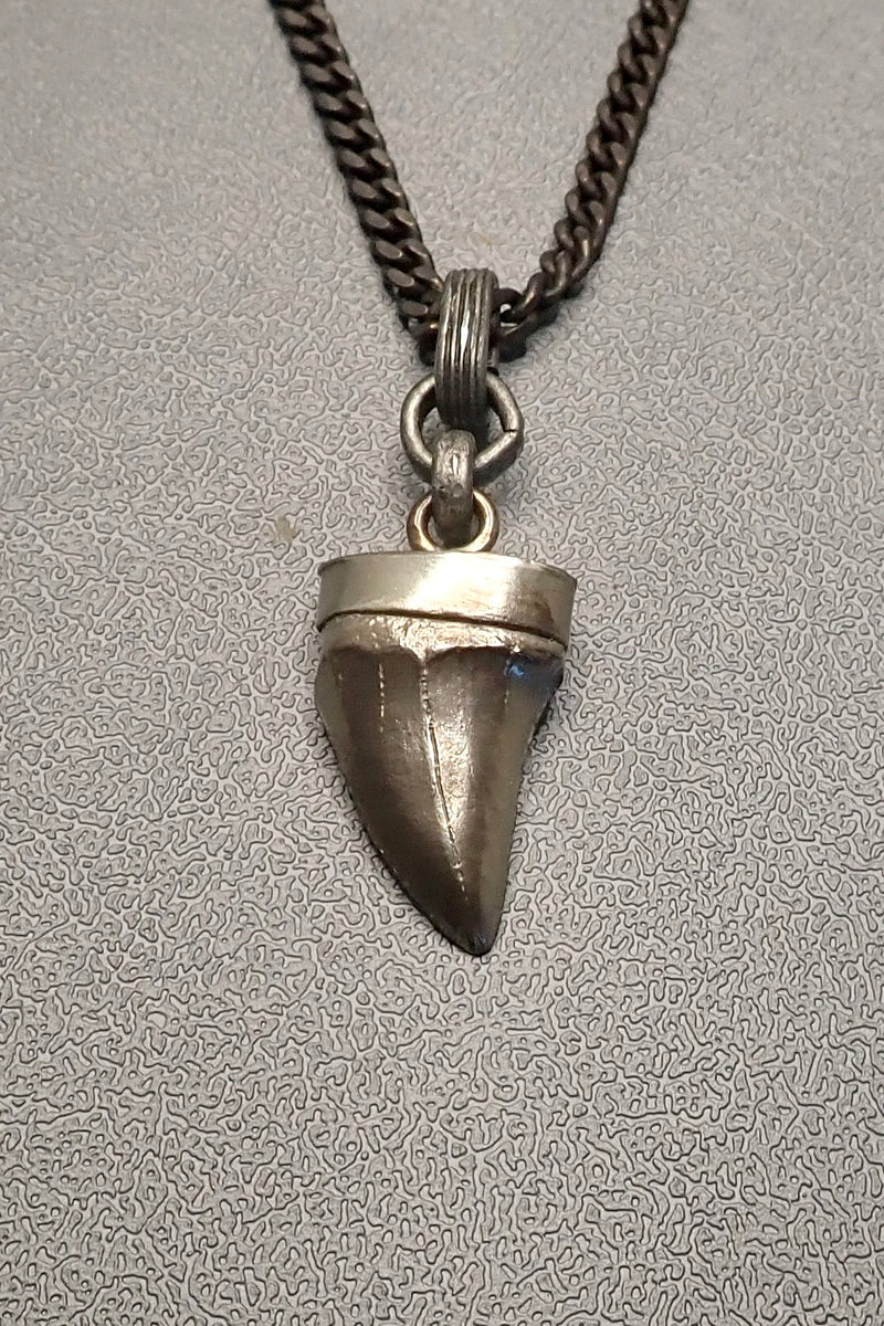 SHARK TOOTH PENDANT