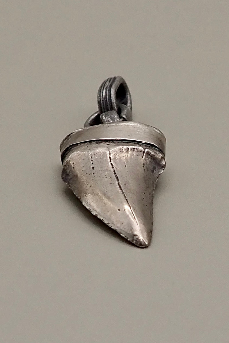 SHARK TOOTH PENDANT