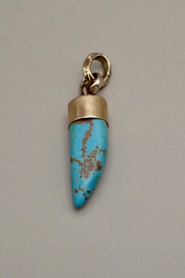 TURQUOISE HORN PROTECTOR PENDANT