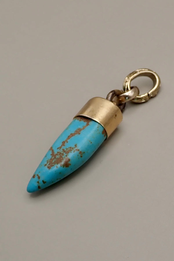 TURQUOISE HORN PROTECTOR PENDANT