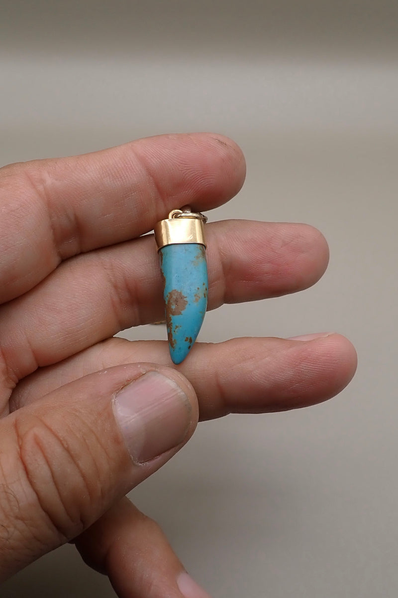 TURQUOISE HORN NECKLACE