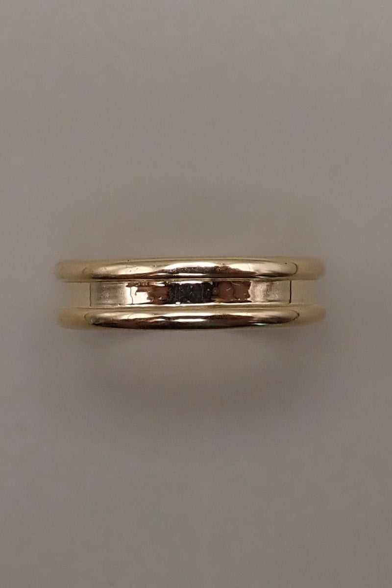The Axis - DOUBLE EDGE BAND RING