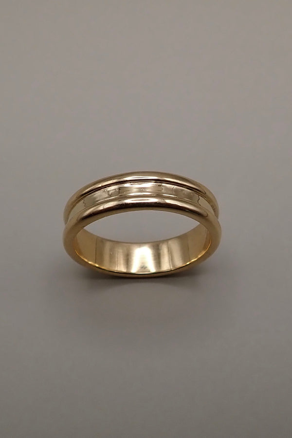 The Axis - DOUBLE EDGE BAND RING