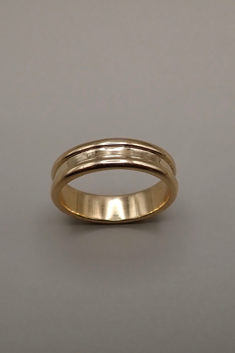 The Axis - DOUBLE EDGE BAND RING