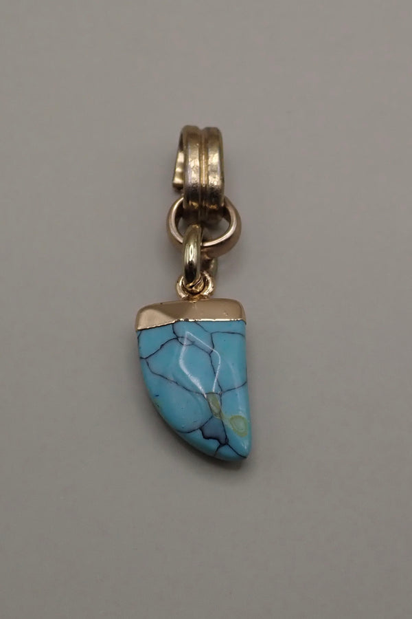 TURQUOISE HORN PROTECTOR PENDANT
