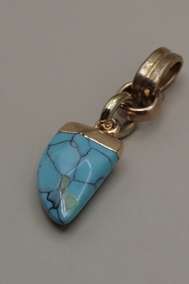 TURQUOISE HORN PROTECTOR PENDANT