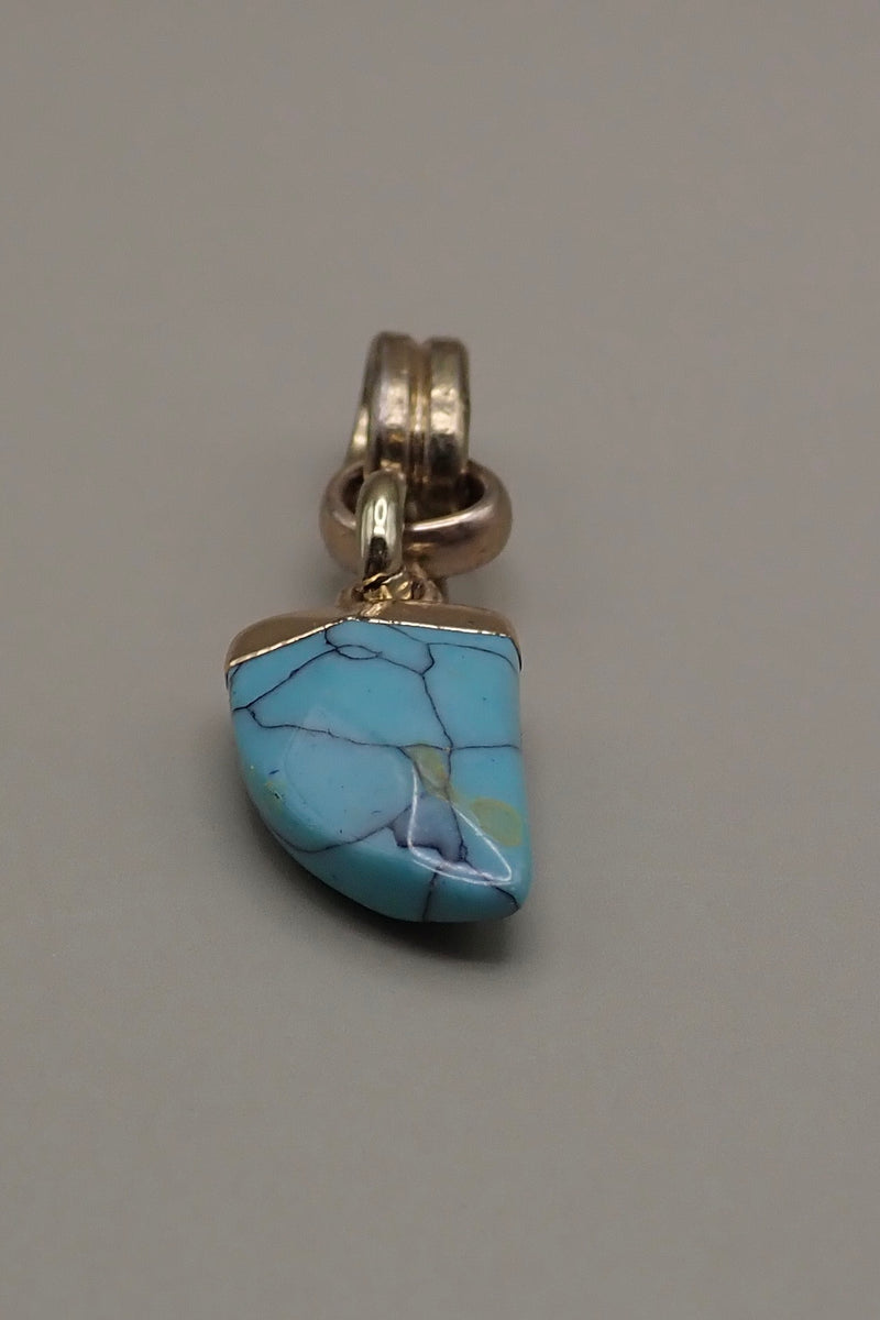 TURQUOISE HORN PROTECTOR PENDANT