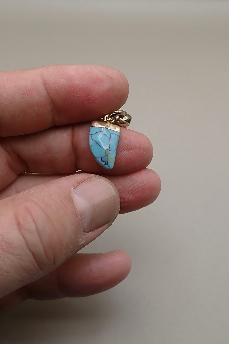 TURQUOISE HORN PROTECTOR PENDANT